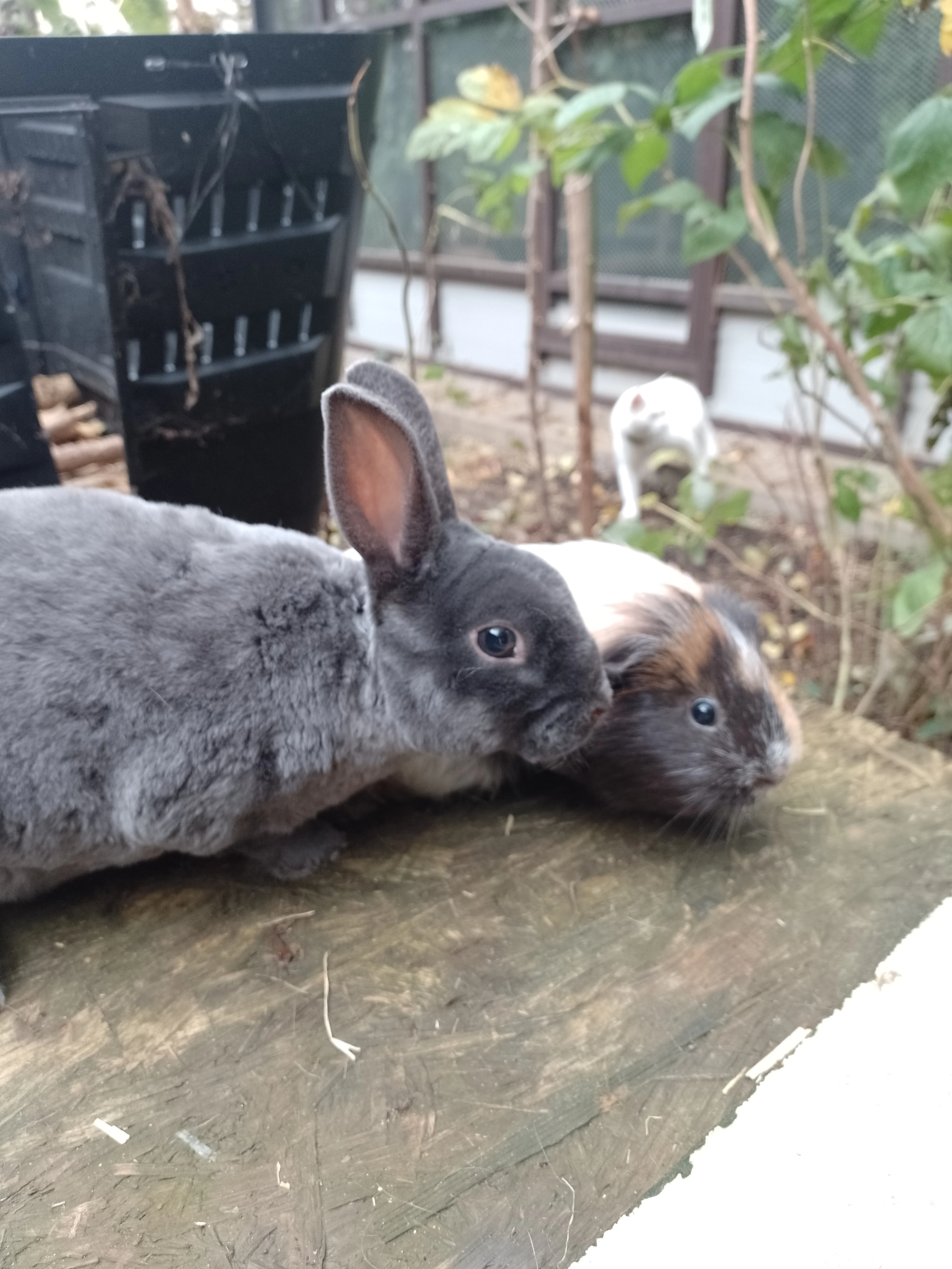 Vyměním za stejné