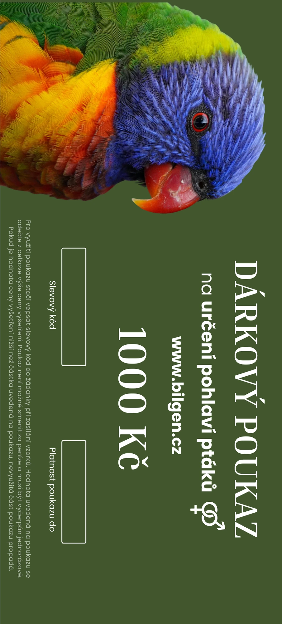  Originální dárek pro chovatele papoušků – poukaz na DNA testy pohlaví