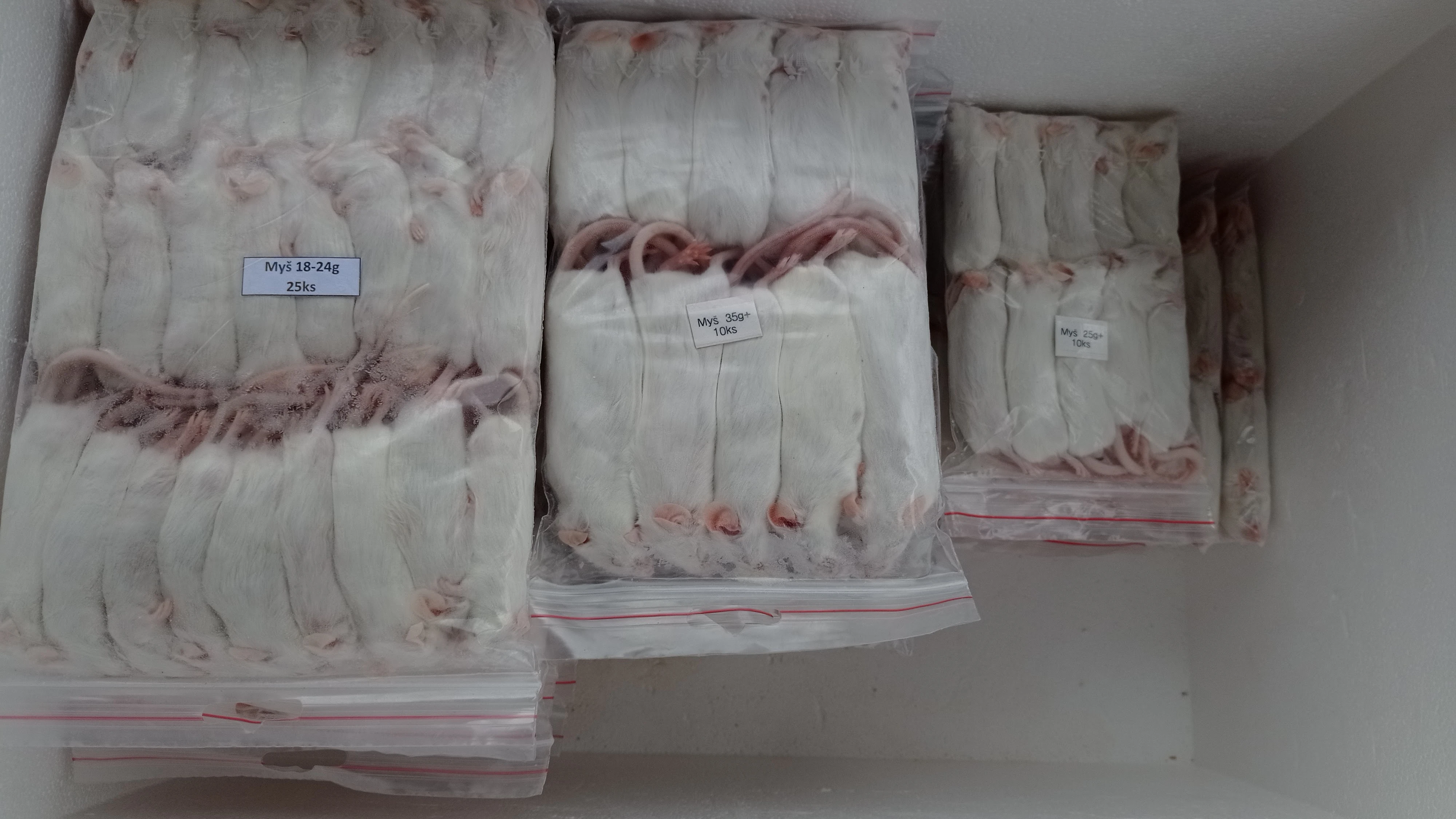 Mražené krmivo - myši - stálá nabídka