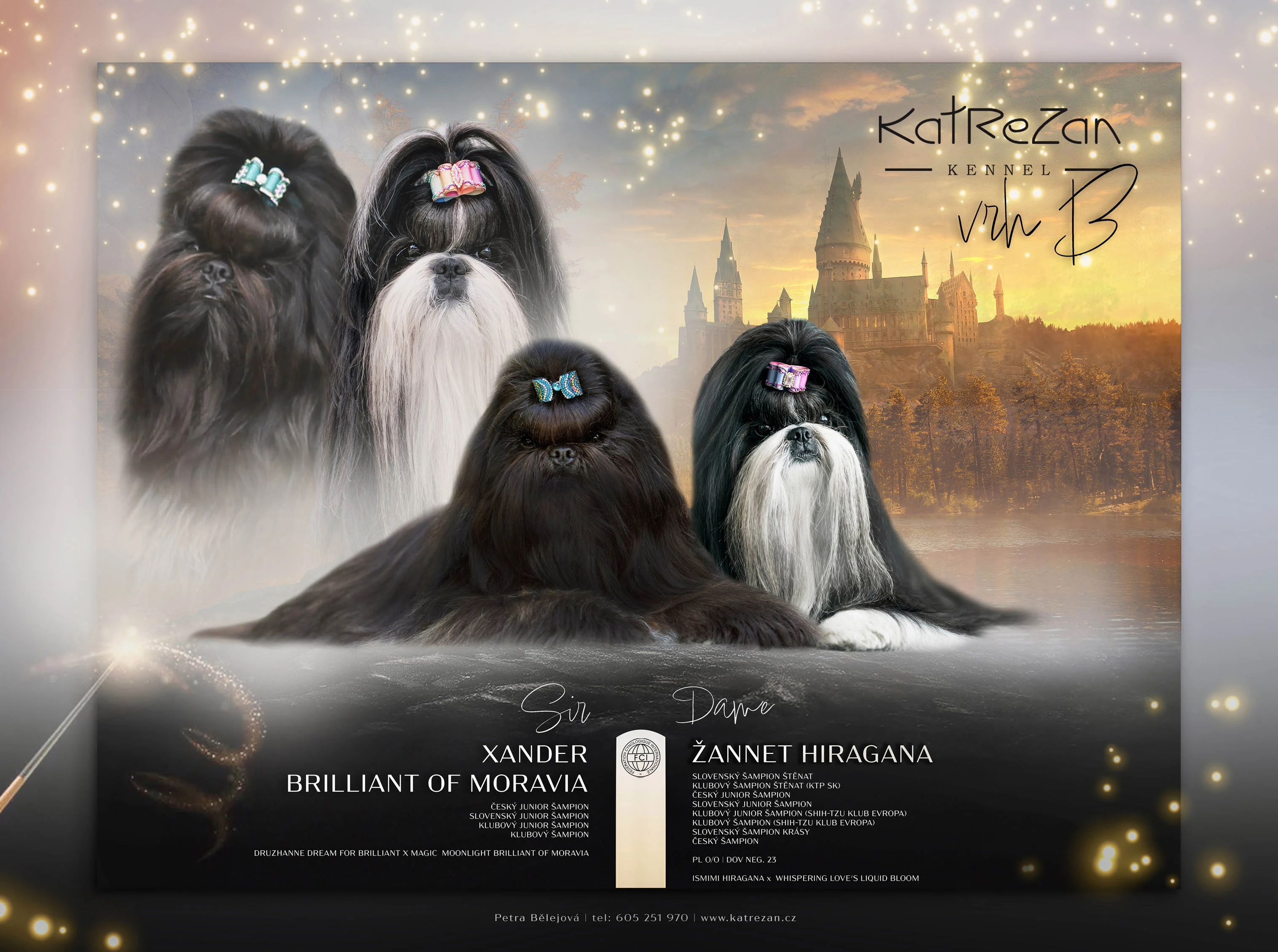 Nabízím štěnatka shih-tzu s PP