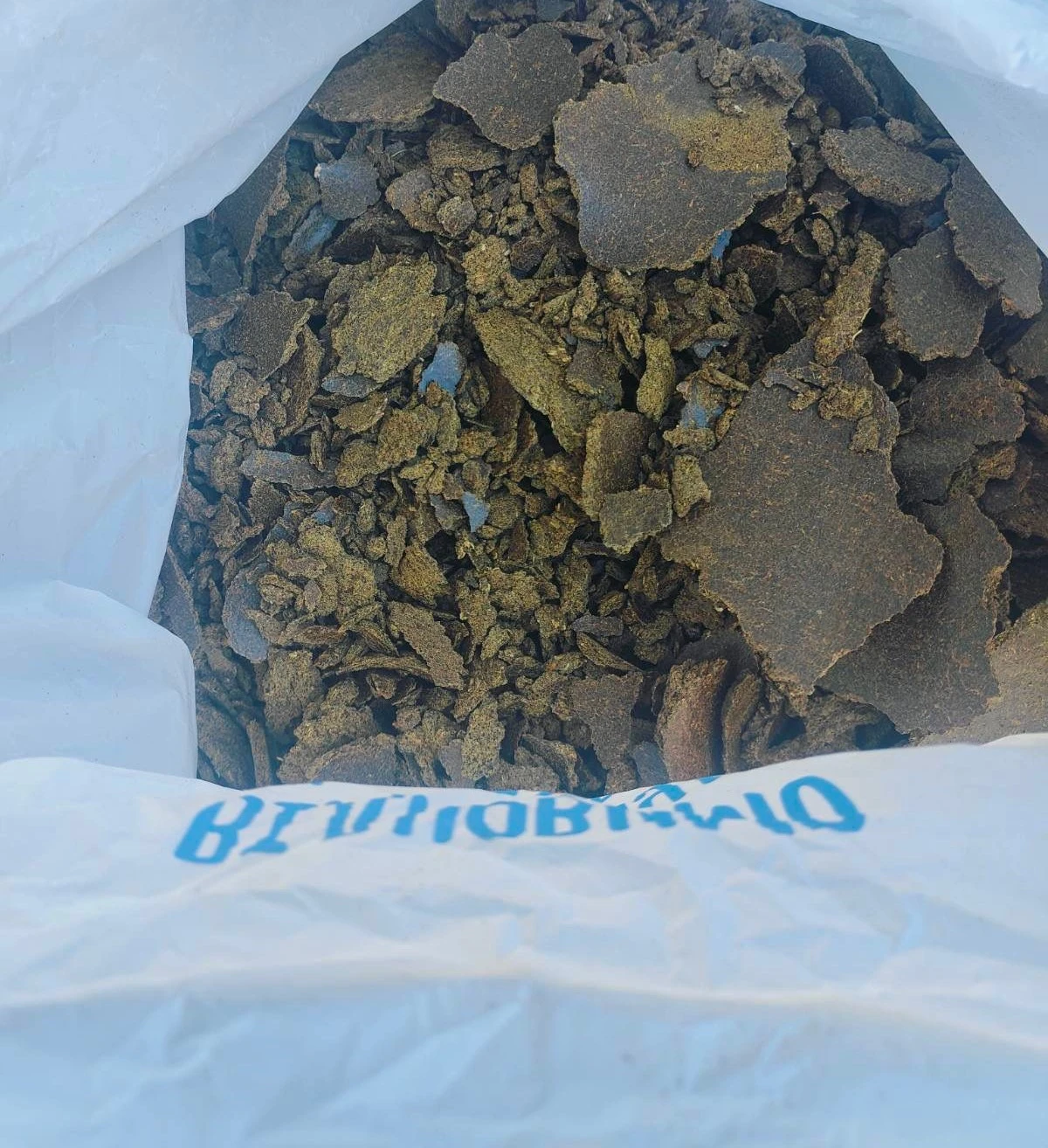 Slunečnicove pokrutiny