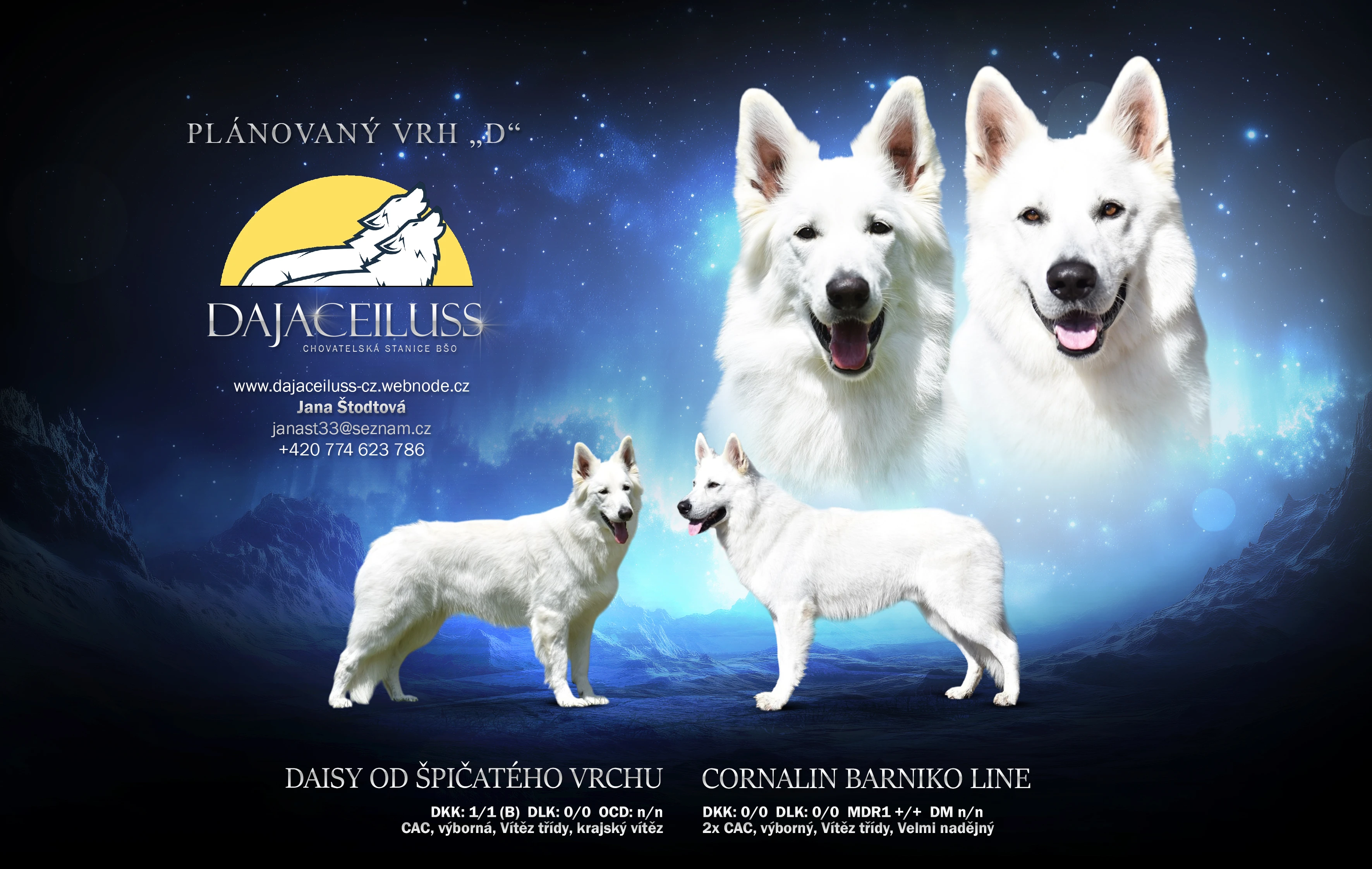 Bílý švýcarský ovčák s PP