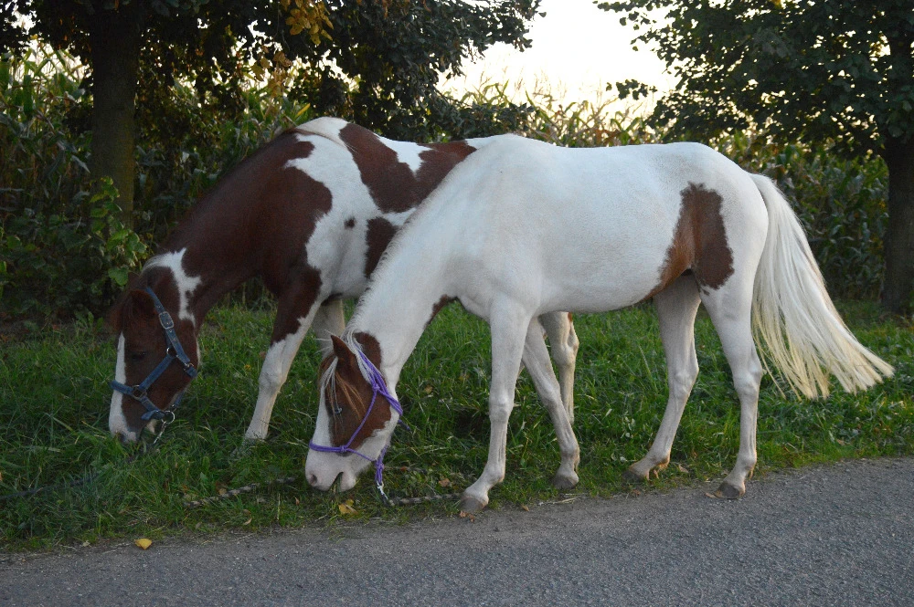 Win win nabídka pro mladé v Olomouci a okolí