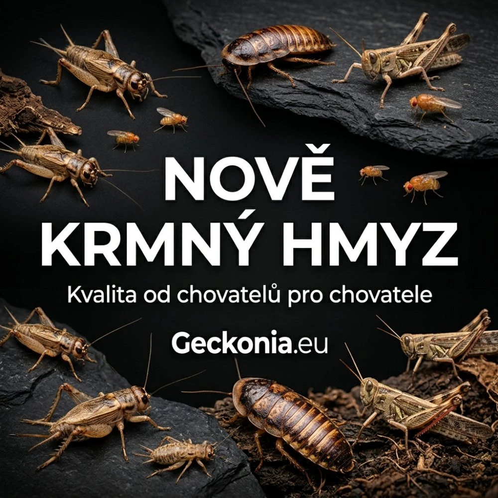 Nově u nás pořídíte i kvalitní krmný hmyz