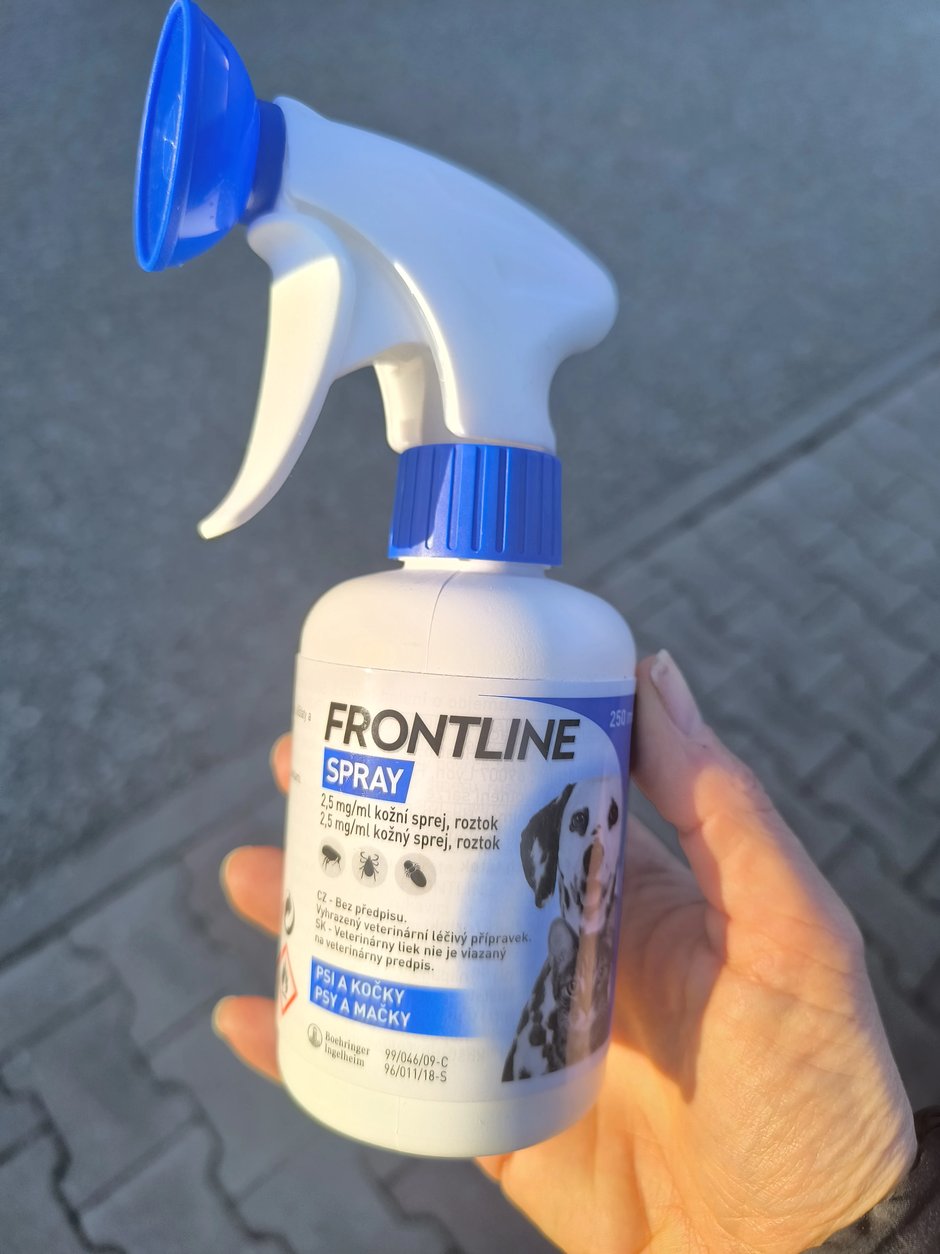 Frontline
