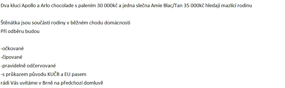 Jorkširský terier
