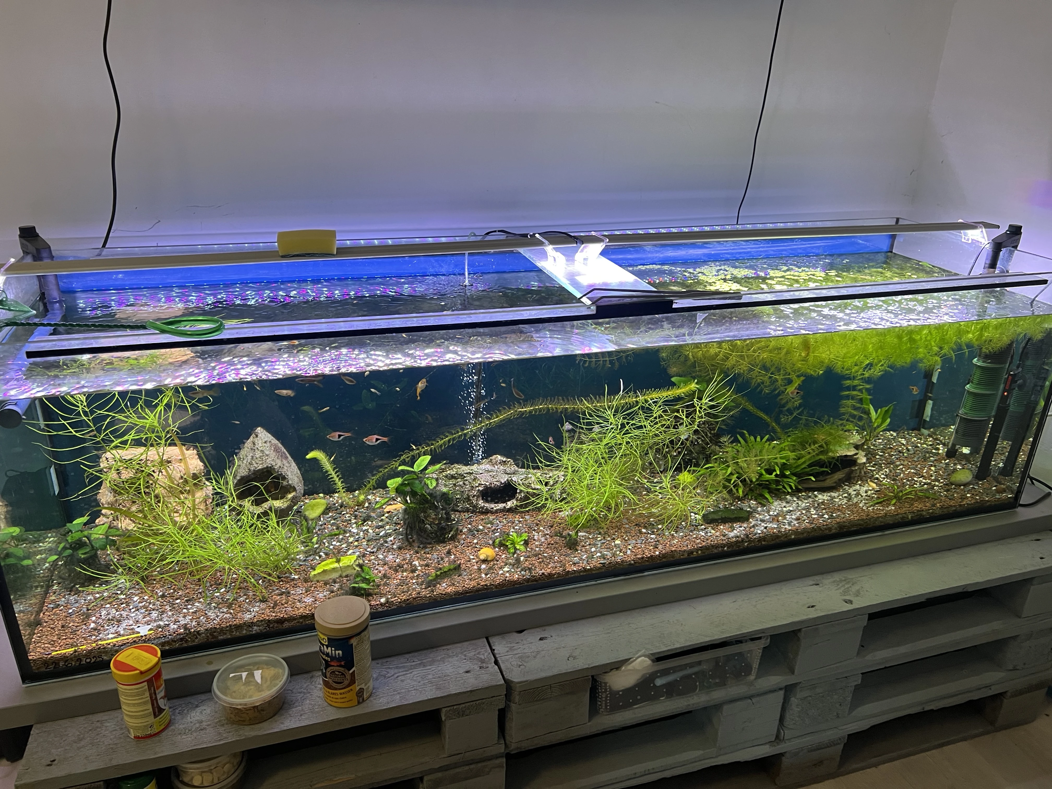 Akvárium 450l