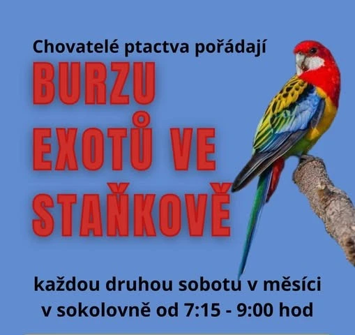 HLEDÁME: Člověka pro výkup ptactva na Burze exotů ve Staňkově.