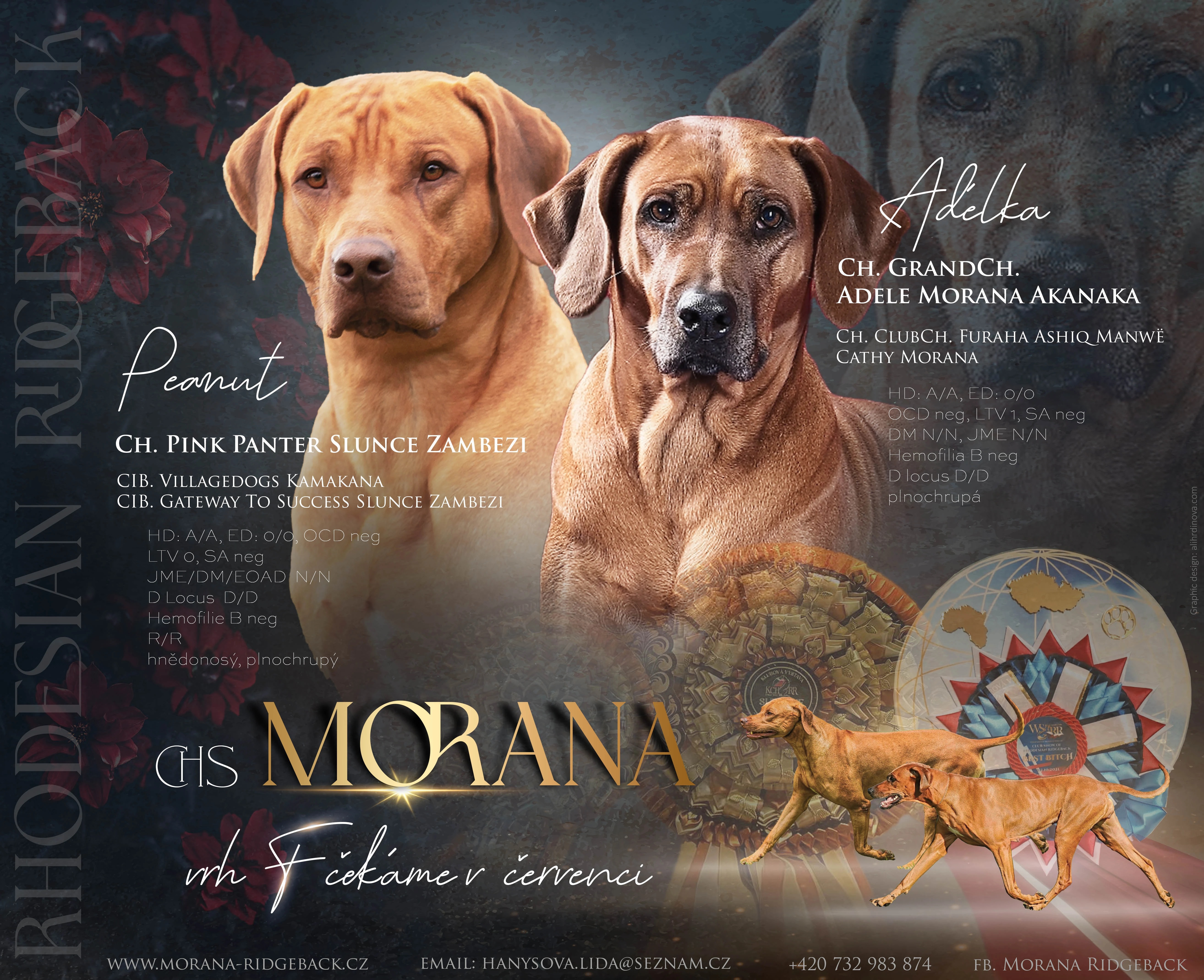 Poslední dva volní standardní kluci