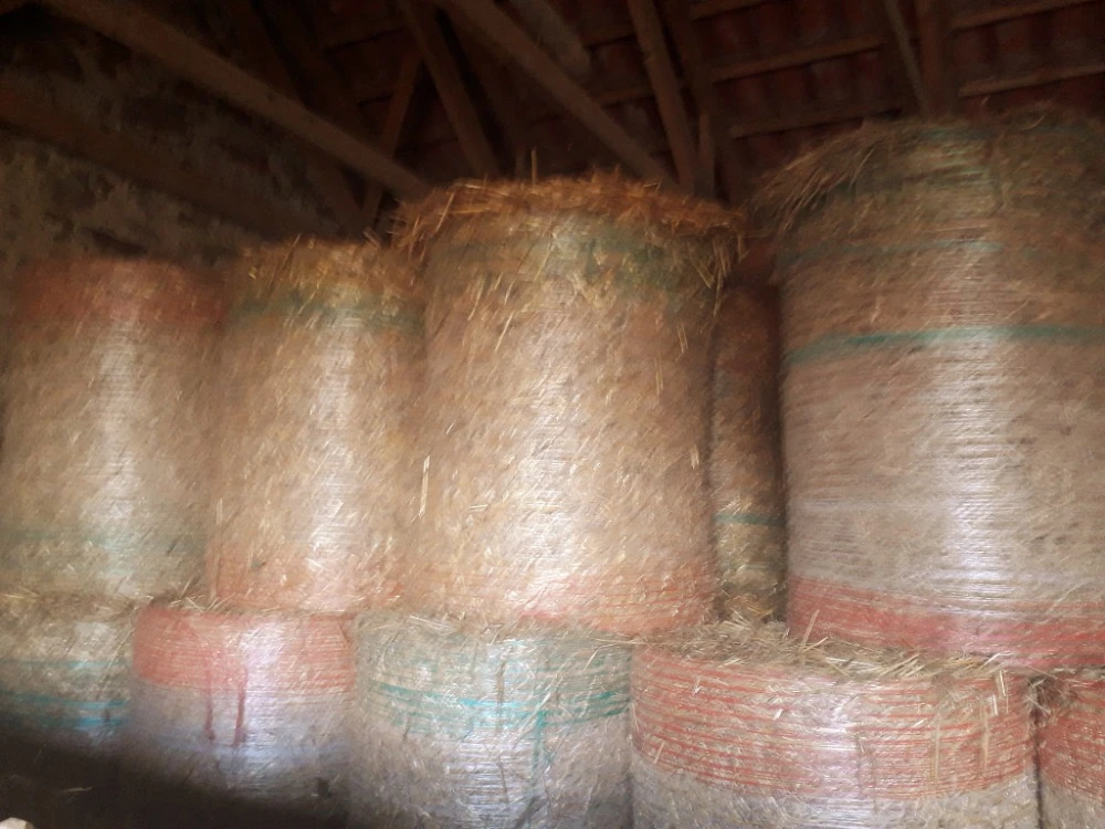 Sláma v menších kulatých balících