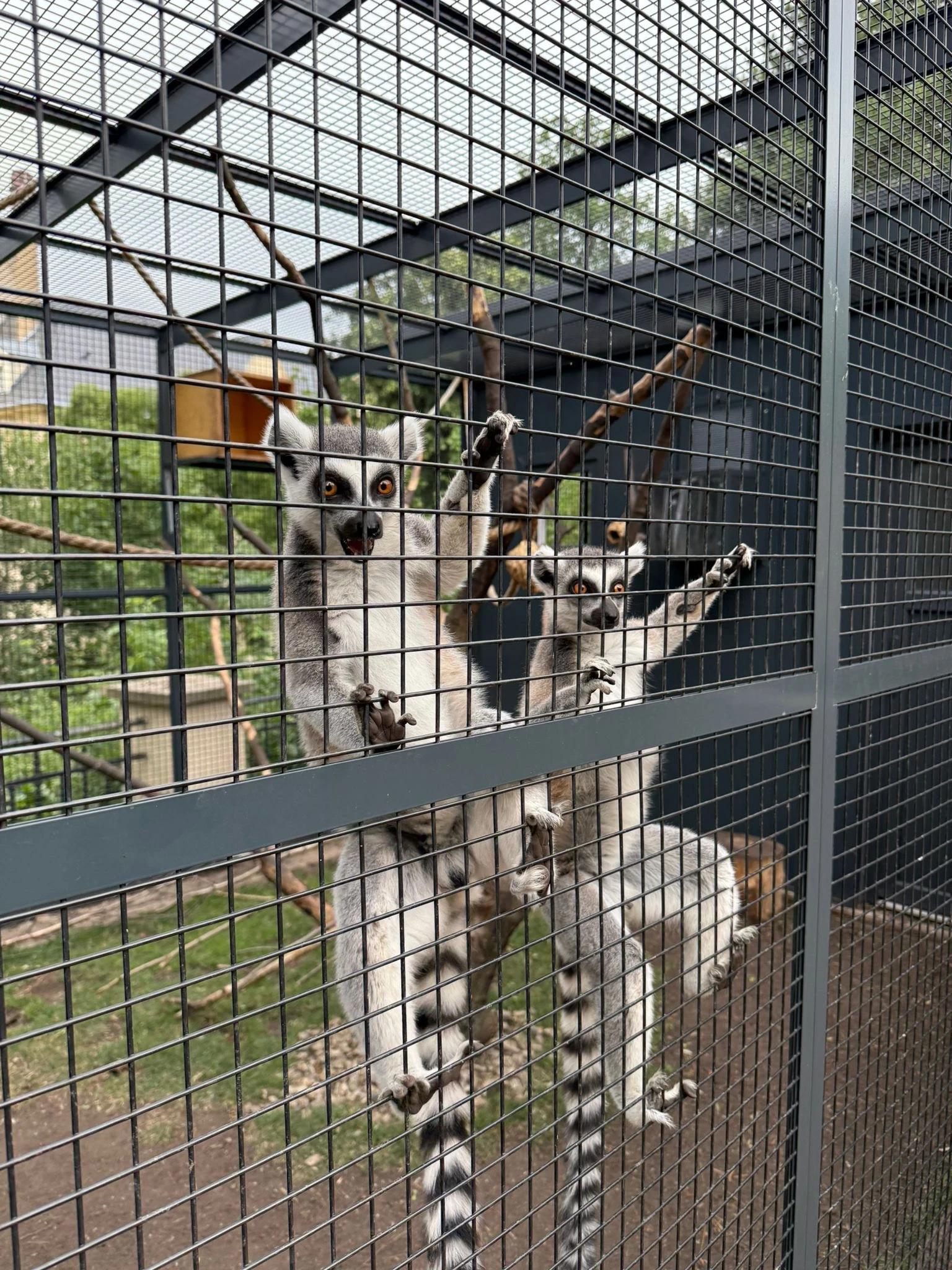 Chovatelské zařízení z PUR panelu