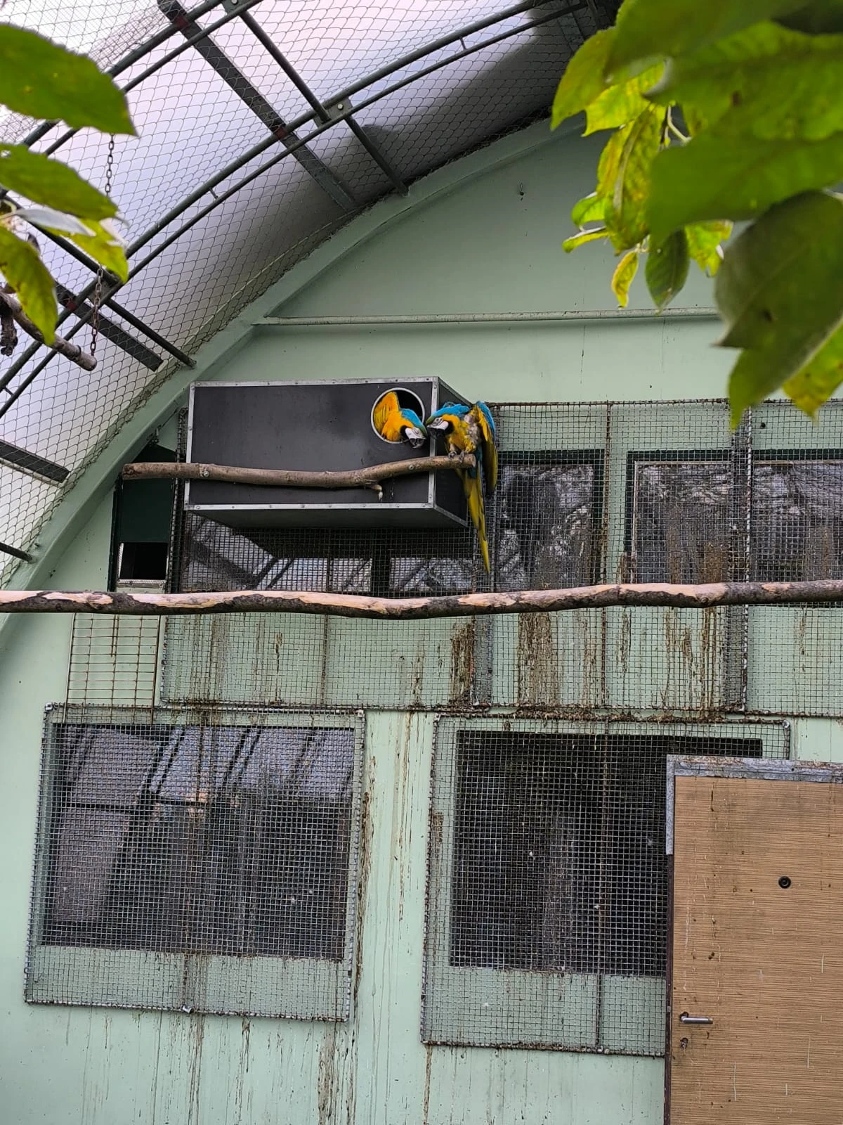 Rušení chovu -zdravotni důvody