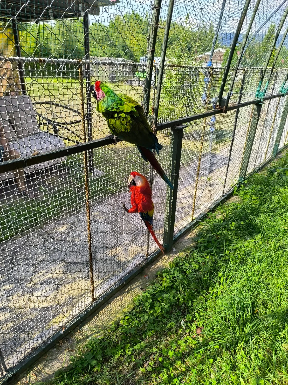 Rušení chovu -zdravotni důvody