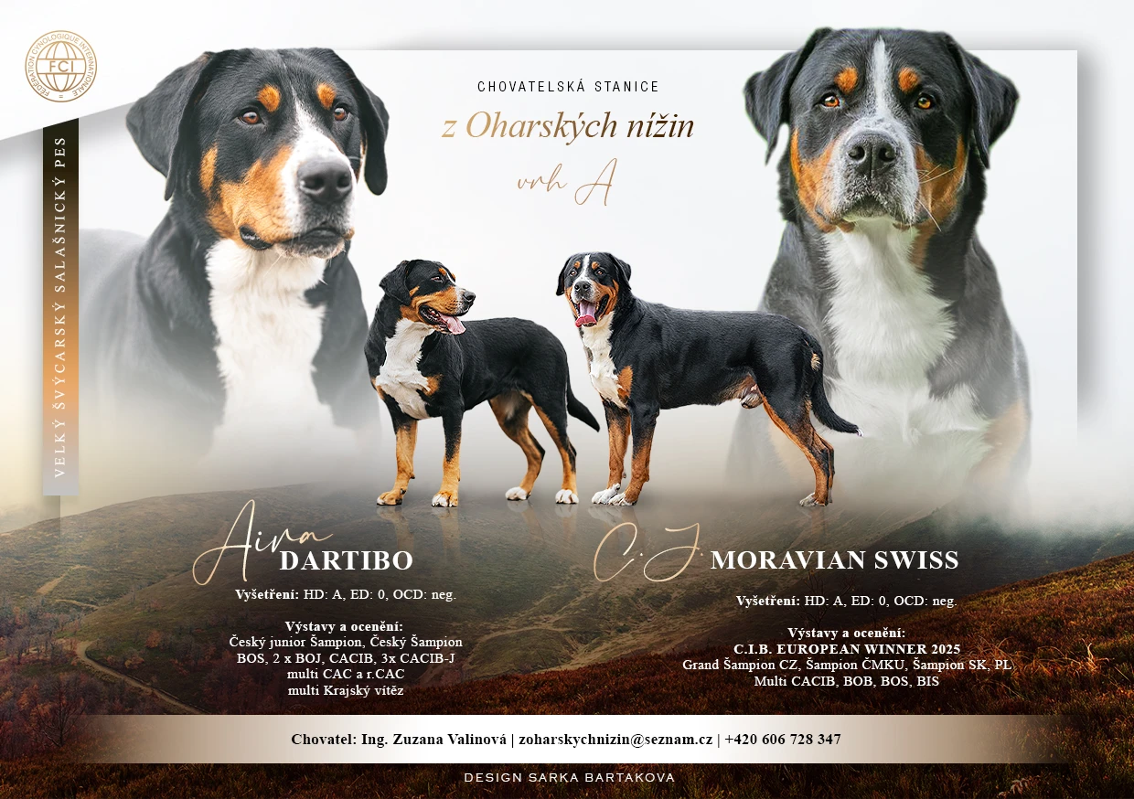 Velký Švýcarský salašnický pes - štěňata s PP