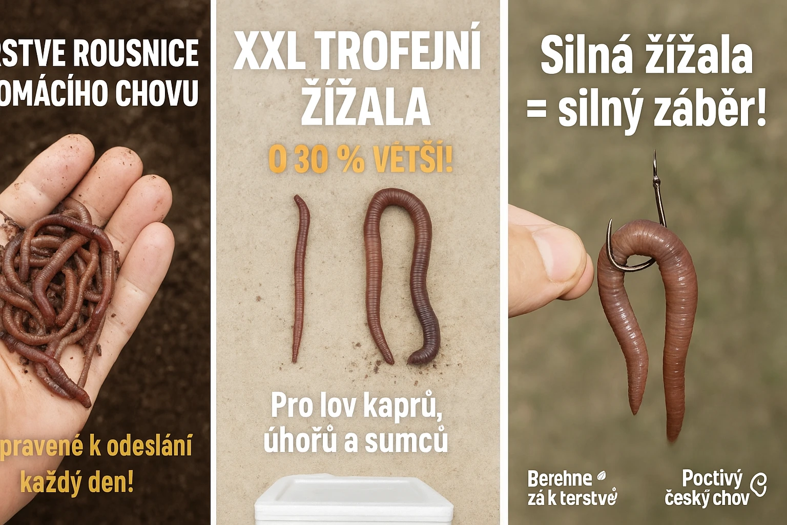 Živé rousnice  – xxl žížaly pro trofejní úlovky  top kvalita