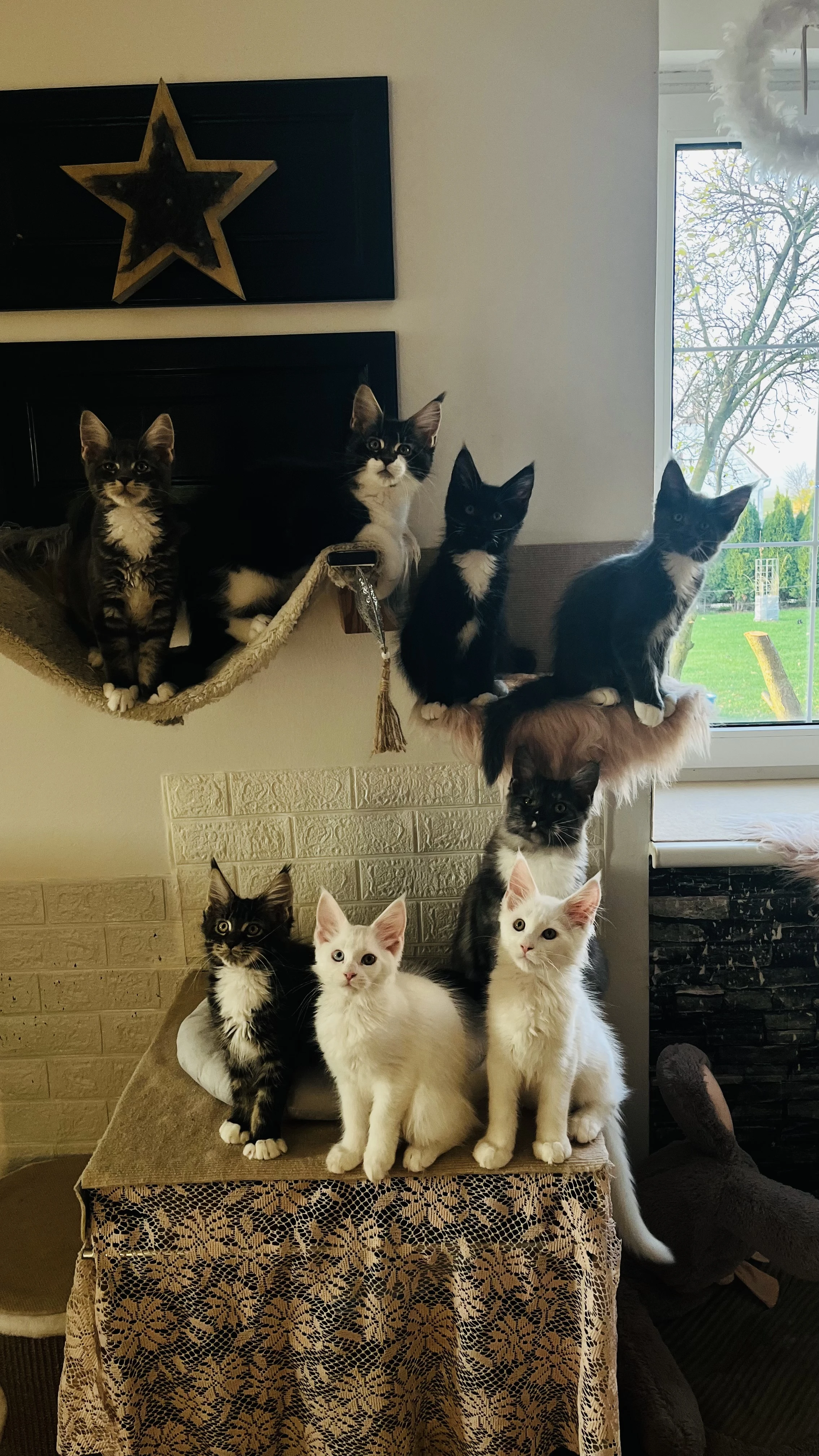 Vánoční štěstí