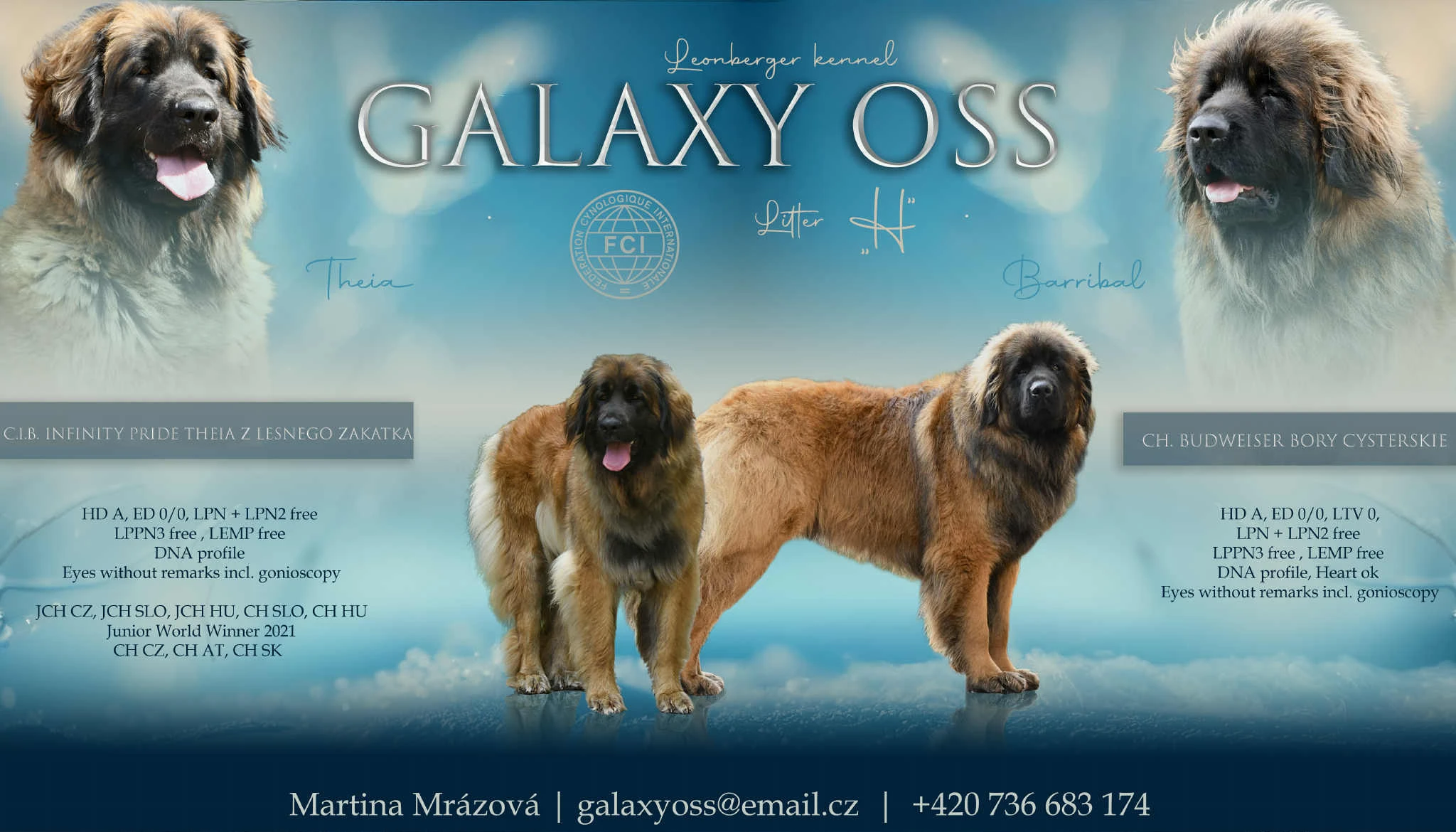 Leonberger