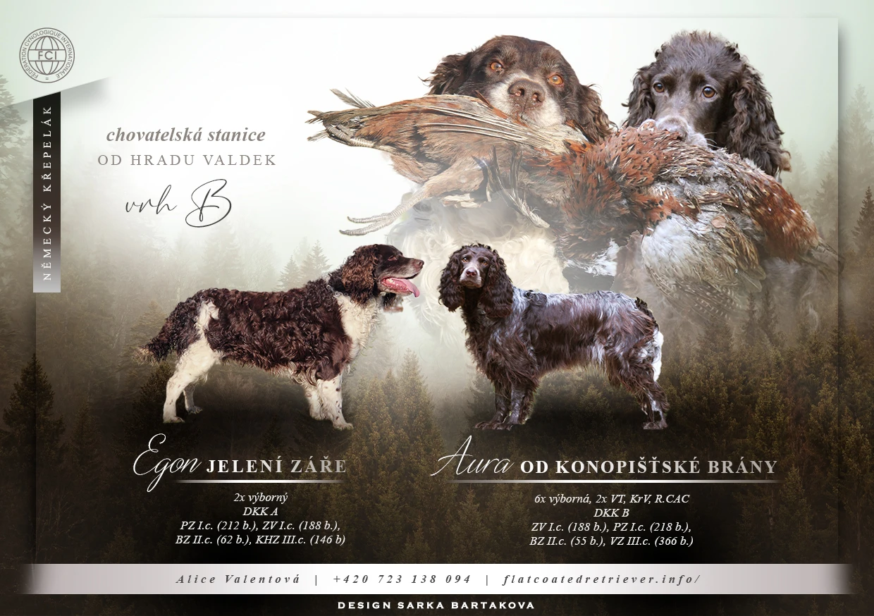 Německý křepelák