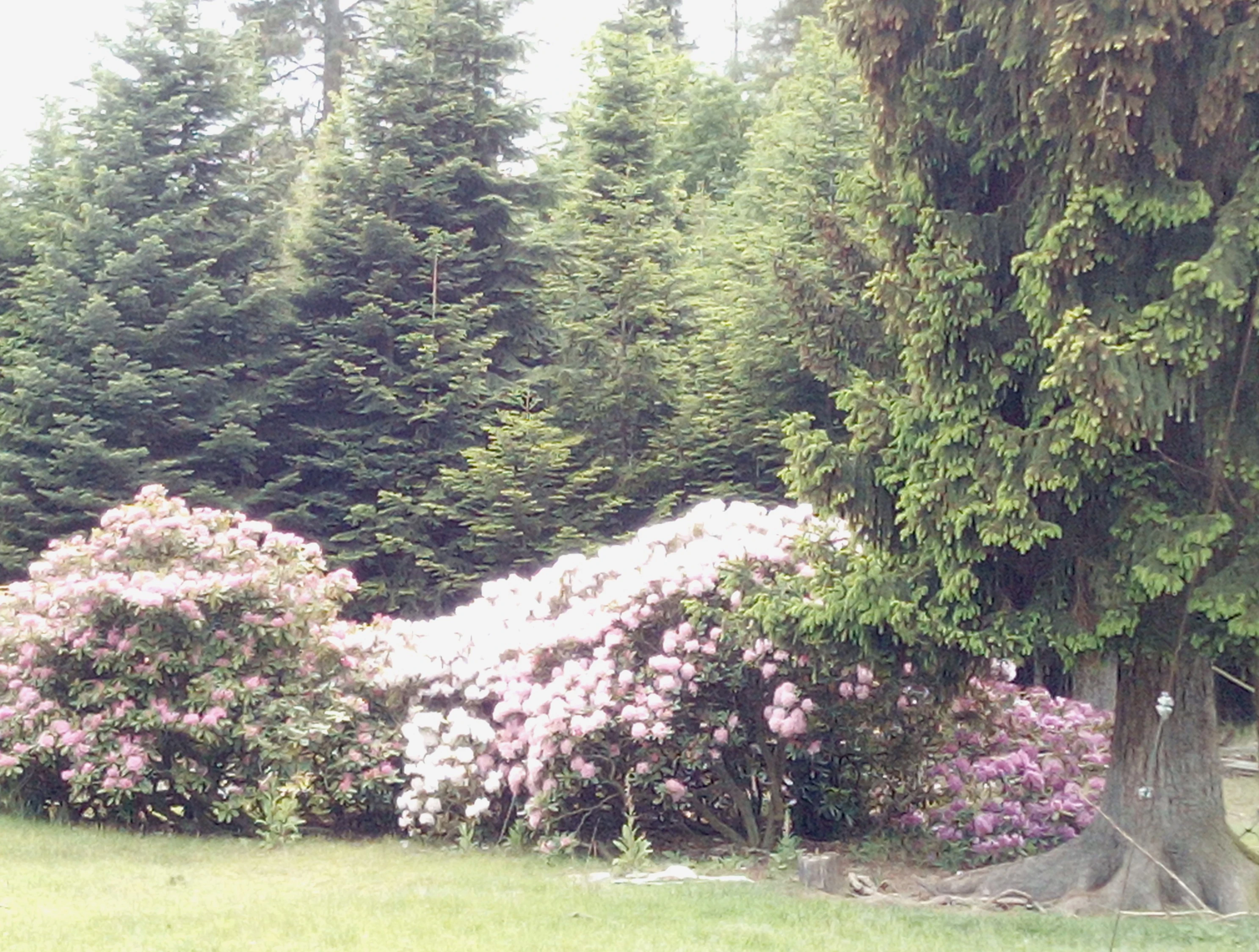 Vegetační období 2026