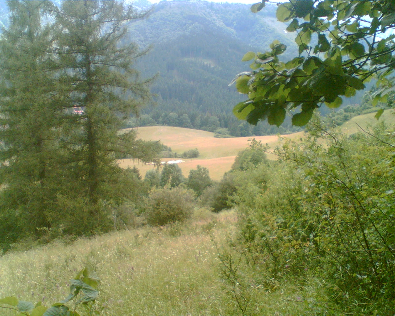 Kamarádka-parťačka pro veselejší život???