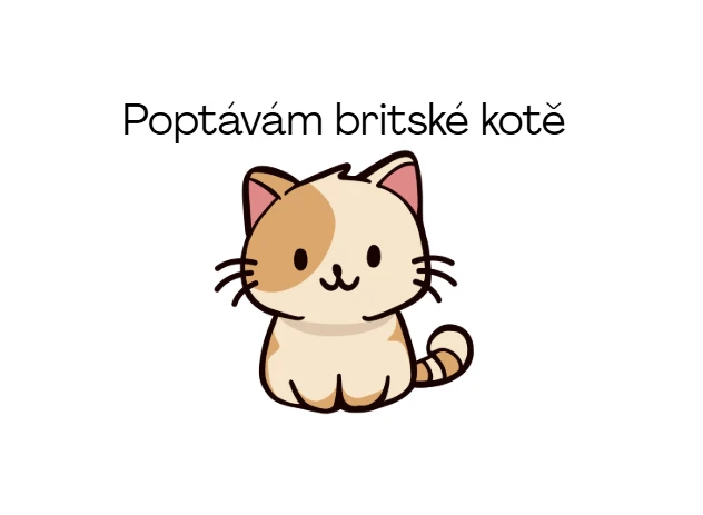 Zájem o britskou kočičku