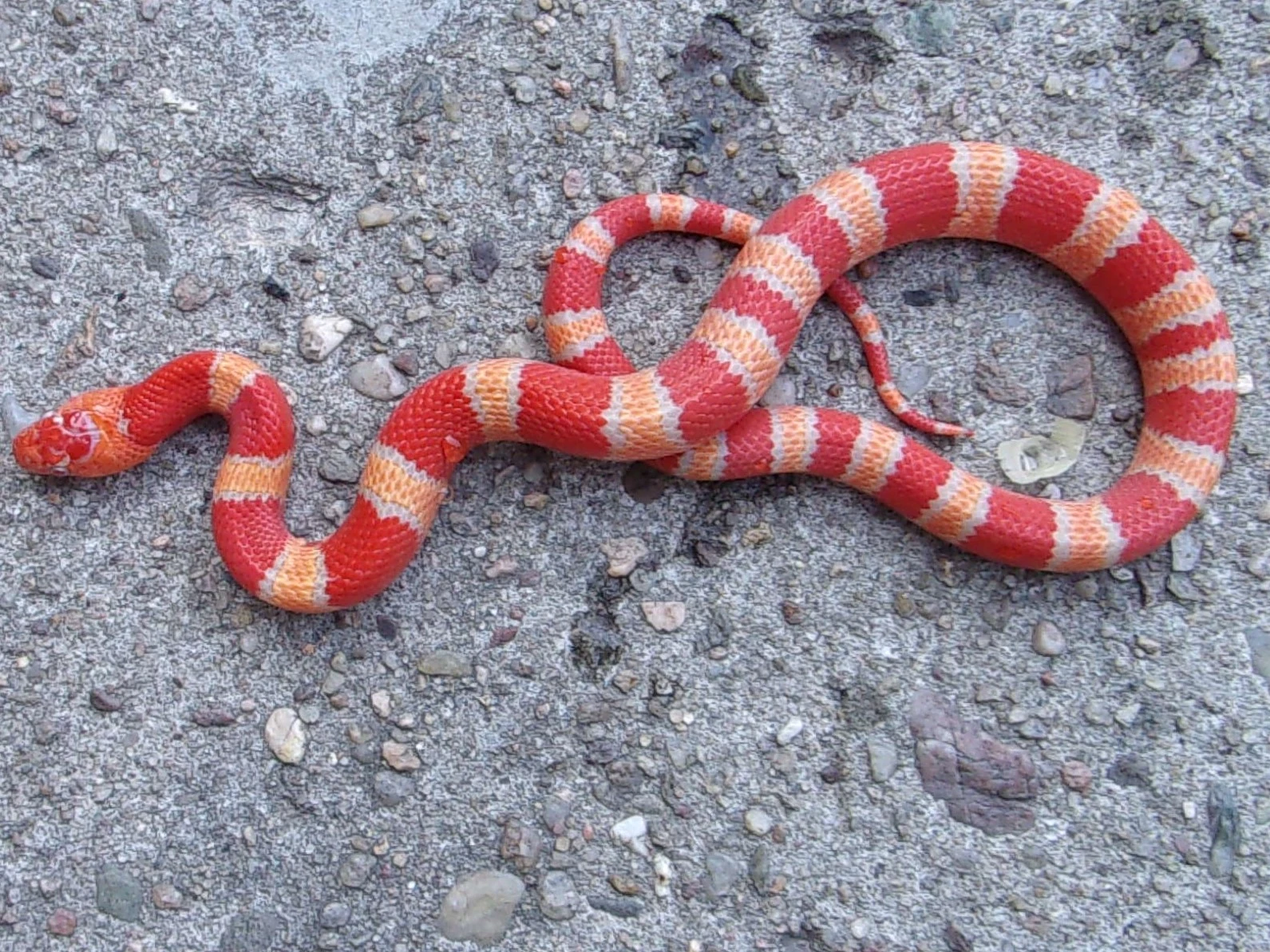 Výprodej pro ŽE Praha 7.3. -