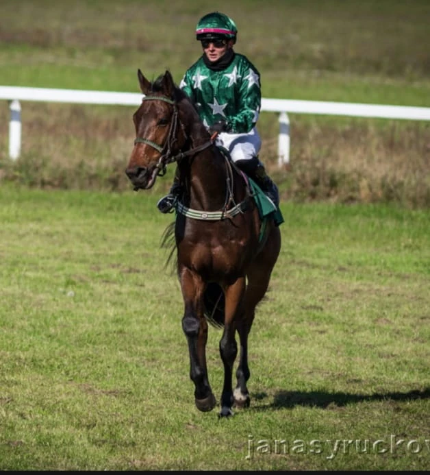 Valach, 5 let – hledá svůj stálý domov
