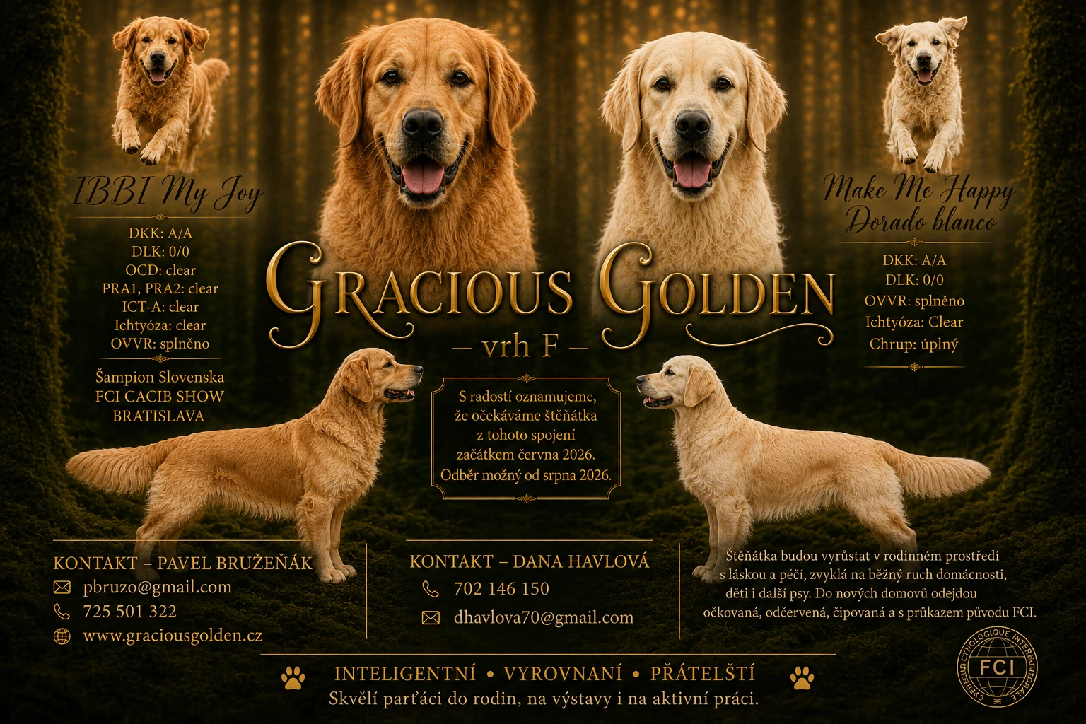 Chovatelská stanice Gracious Golden představuje vrh F