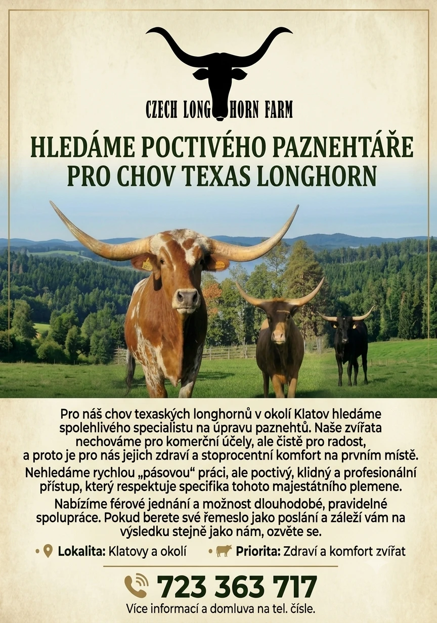 Hledáme poctivého paznehtáře pro chov Texas Longhorn
