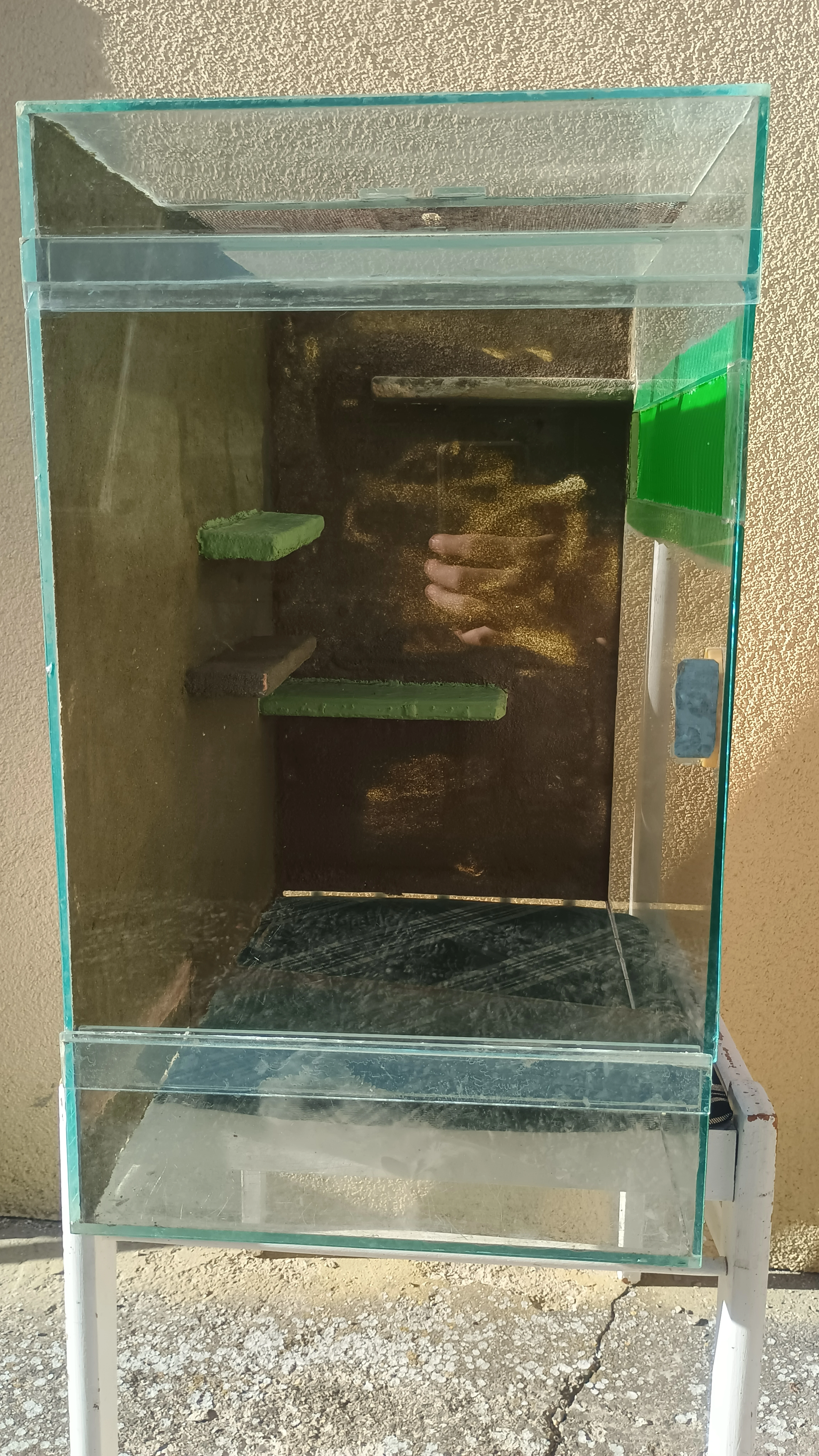 Prodám terárium o rozměrech š - 30, h - 50, v - 50 cm