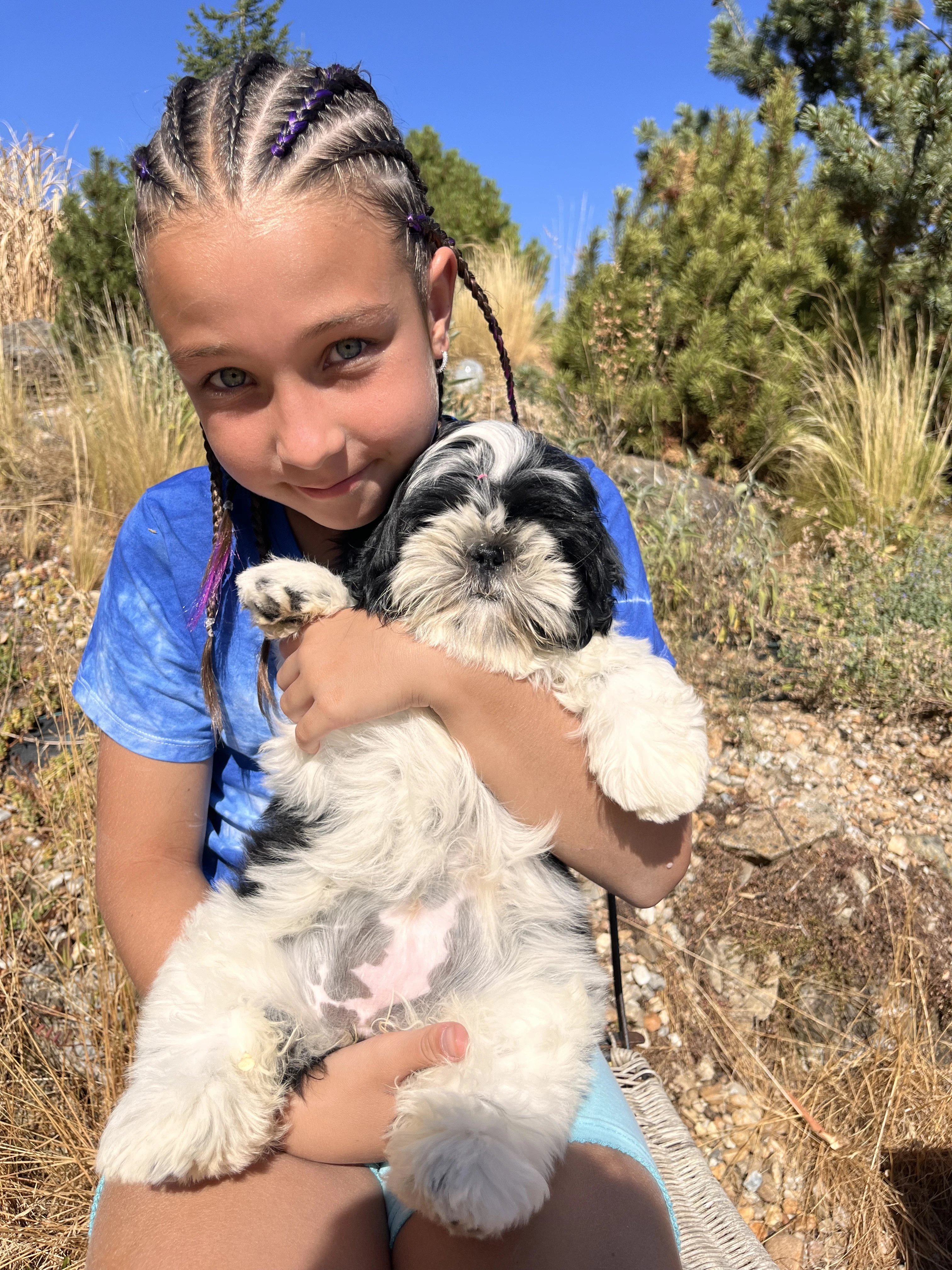 Shih-tzu fenka s PP