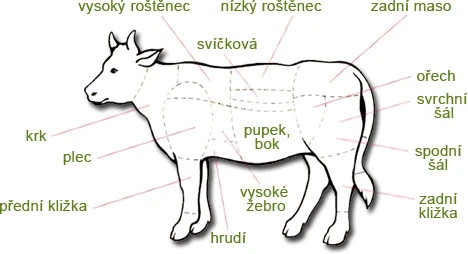 Hovězí maso