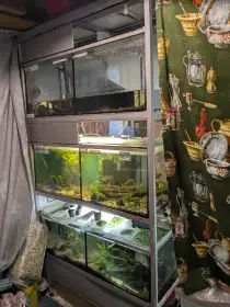 Akvarijní stojany