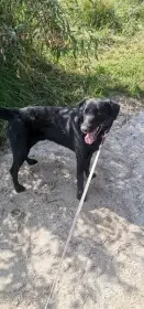 Jack