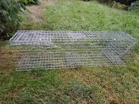 Pasti a sklopce na škodnou