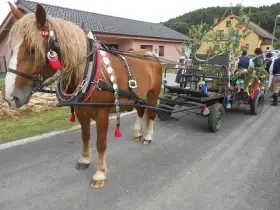 Vůz vozík za koně