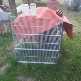 Rošty