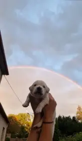 Víme, že je to kýč, ale museli jsme :)