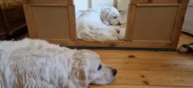 S babičkou Ashley v popředí.