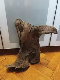 Akvarijní kořen