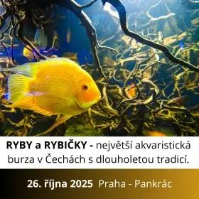 Ryby a rybičky - výstavní a prodejní akvaristická burza v Praze - 26.10.2025