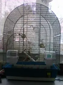 Pěkná klec chromová