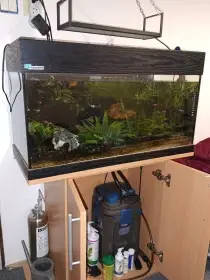 Prodám kompletní akvárium