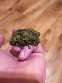 Theloderma corticale