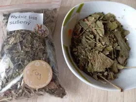 Sušené bylinky listy