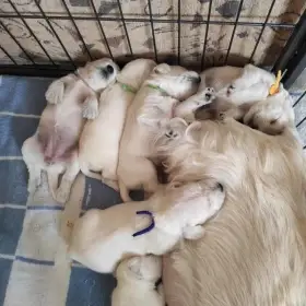 Jen do jednoho rohu svítí sluníčko