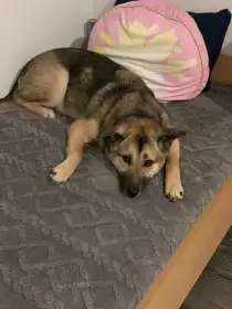 Mia hledá novou rodinu