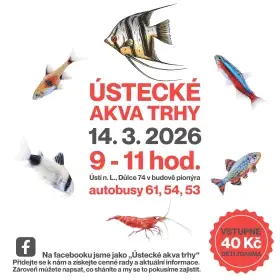 Ústecké akva trhy