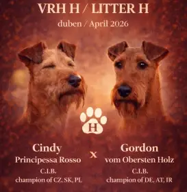 Chovatelská stanice Principessa Rosso nabízí štěňátka z výjimečného spojení.