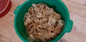 Kuřata Česká zlatá kropenka